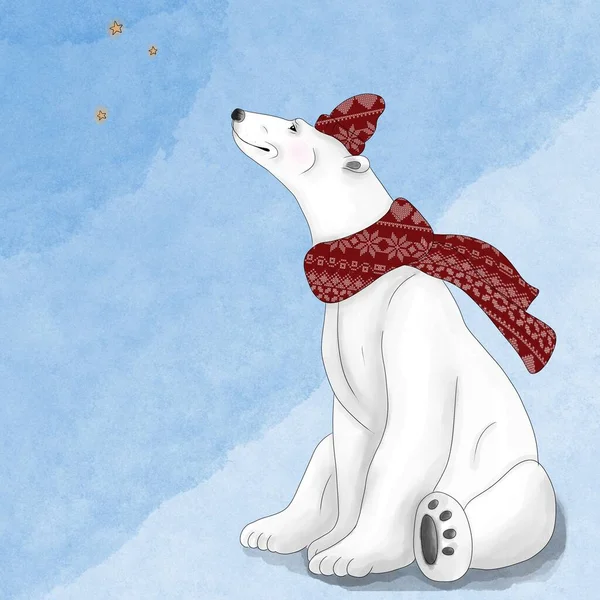 Christmas Postcard Polar Bear Looking Stars — Stock Photo, Image