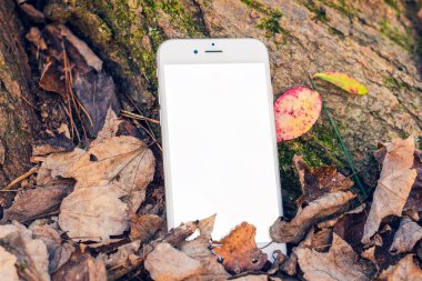 Doğa ortamının akıllı telefon modeli.