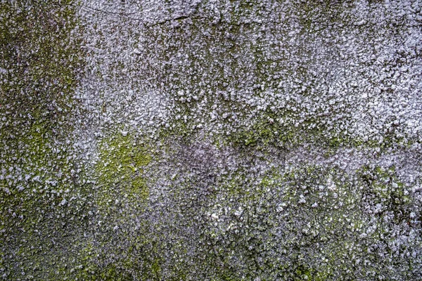 Eski Sıkıntılı Duvar Arkaplanı Grunge Arkaplan — Stok fotoğraf