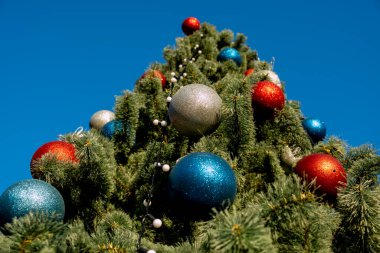 Doğayla ilgili hediyelerle süslenmiş Noel ağacı. Yeni yıl tatili