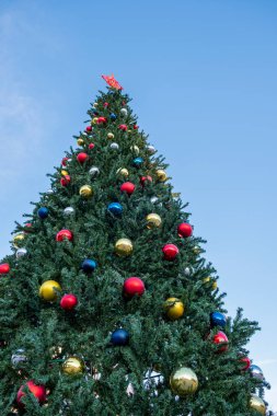 Doğayla ilgili hediyelerle süslenmiş Noel ağacı. Yeni yıl tatili