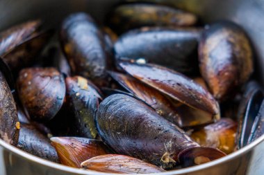 Krema soslu mavi midye kasesi metal kasede izole edilmiş. Lezzetli deniz ürünleri yemeği.