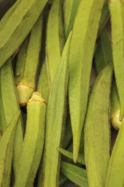An image of the vegetable okra