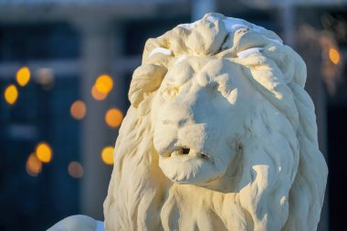 Riga 'daki Vermanes parkındaki aslan heykelinin başı.