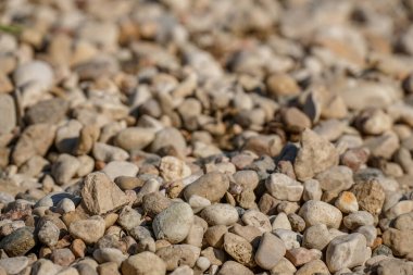 Düz yuvarlak kumsal çakıl taşları arka plan, doğal doku yakın çekim