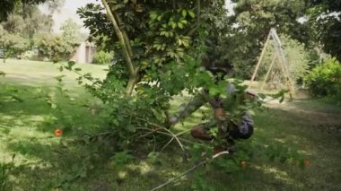 4K 'da bir kır evinde dikenli bir ağacı palayla kesen bir adam.