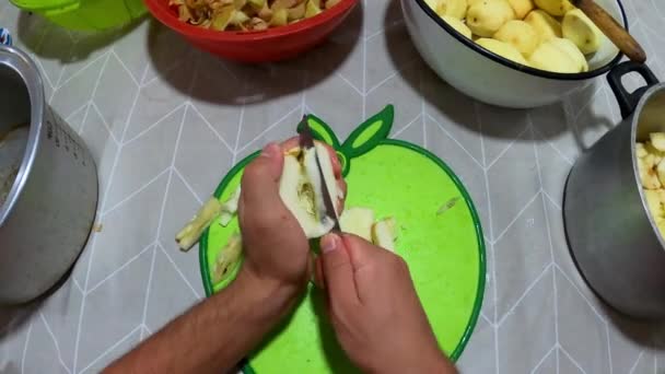 Pov First Person View Peeling Cutting Apple Dining Table Prepare — Αρχείο Βίντεο