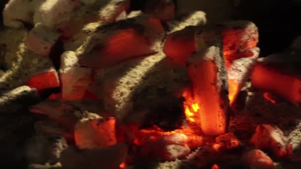 Closeup Several Red Hot Pieces Charcoal Burning Grill Night — Stock Video