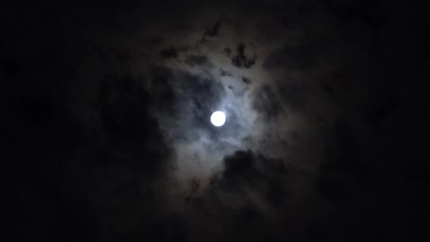 View Bright Moon Dark Sky — стоковое видео