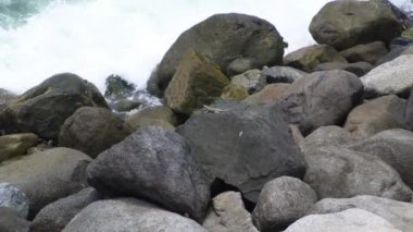 Bir kertenkele deniz kıyısındaki bir kayadan atlıyor ve koşuyor. Deniz dalgaları gün içinde taşlarla çarpışıyor.