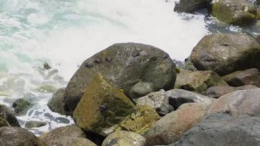 Sahilde kayalıklarda güneşlenen birkaç yengecin yakın çekimi. Gün içinde dalgalar çok şiddetli bir şekilde çarpıyor.