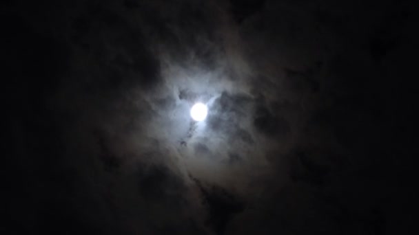 Krótkie Ujęcie Jasnego Księżyca Nocy Chmurami Przelatującymi Obok Upływ Czasu — Wideo stockowe