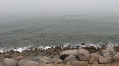 POV, kıyıdaki deniz suyunda sıkışmış bir dalgıca bakarak kayalara yakın bir şey arıyor. 4K 'lık bulutlu bir günde kumsalda koşuyorum.