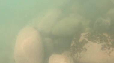 POV 'un deniz içinde yüzerken gördüğü ilk kişi, 4K' da arka planda kayalarla suda boğulma korkusuyla telaşla ve umutsuzca yüzüyor.