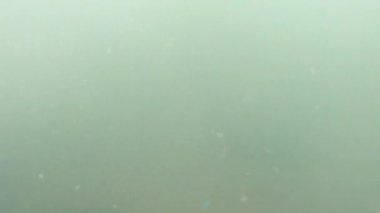 POV 'un deniz kıyısına yüzerken gördüğü ilk kişi, günde 4K' da suyun üzerinde kum ile boğulma korkusuyla tedirgin ve umutsuzca geliyor.