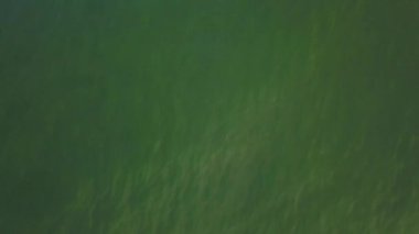 Turkuazın yukarıdan yeşil denize havadan drone görüntüsü 4K 'da dalgaların içinden geçiyor.