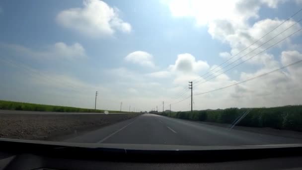 车载着Pov平静地穿梭于绿地和有晴朗天空的高压天线之间 4K天 — 图库视频影像