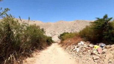 POV açık mavi gökyüzü ile tepeler arasında tarım arazileri ve bitki örtüsü arasında koşuyor. Casma 'da, Lima' da, Peru 'da, gün içinde 4K' da koşuya bakış açısı