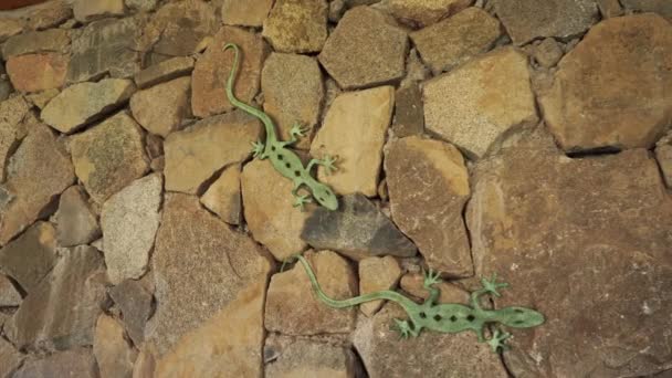 Closeup Stone Wall Patterned Fake Lizards Country House — Stock Video