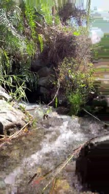 Güneşli bir günde, 4 km yükseklikteki dağlarda küçük bir şelale ile bir derenin dikey çekimi.