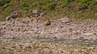 Taroko Vadisi, Tayvan 'da güzel bir dere 
