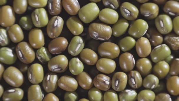 Close Pile Green Beans Macro — Stock Video