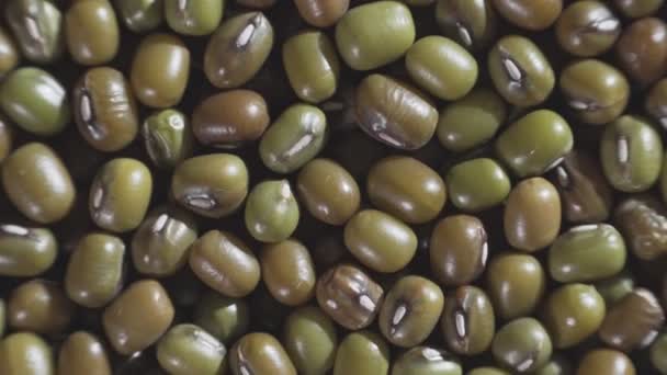 Nahaufnahme Eines Haufens Grüner Bohnen Makro — Stockvideo