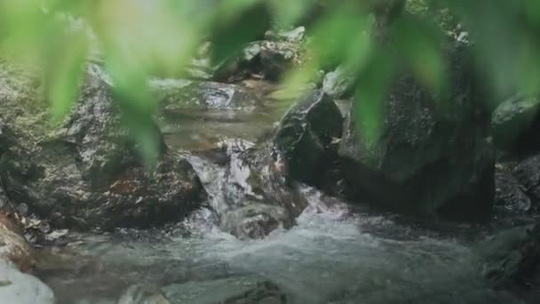 台湾花莲Sakul瀑布美丽的风景 — 图库视频影像