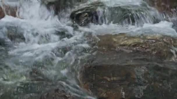 Красивий Пейзаж Водоспаду Сакуль Хуалянь Тайвань — стокове відео
