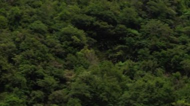 Taroko Boğazı Ulusal Parkı, Tayvan 'daki Dağ-Ay Köprüsü' nün Güzel Sonbaharı