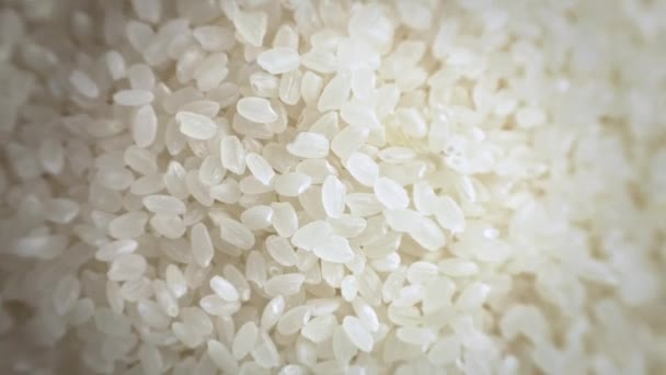 Arriba Primer Plano Japón Arroz — Vídeos de Stock