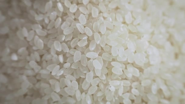 Top Close Japanes Rice — Stock Video