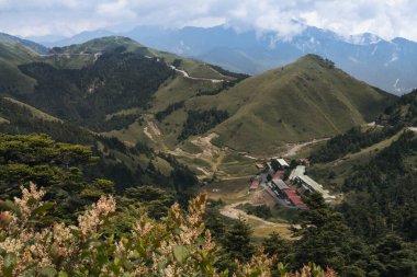 Tayvan 'daki Qingjing Çiftliği' nin hava görüntüsü.