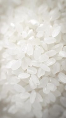 pirinç yakın görünüm 