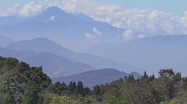 Qingjing Çiftliği, Nantou, Tayvan 'da koyun otlatan güzel bir manzara.
