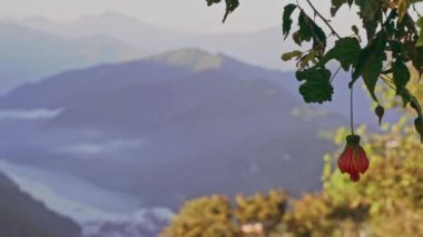 Qingjing çiftliğinin güzel manzarası, Nantou, Tayvan