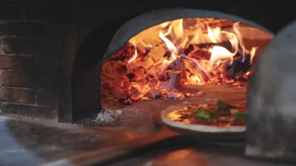 レストランでプロのシェフ準備ピザ ナディング生地 材料を追加 特別なソース 伝統的な家族のレシピ おいしい有機食品と本格的なイタリアのピッツェリア 手を中心に — ストック動画
