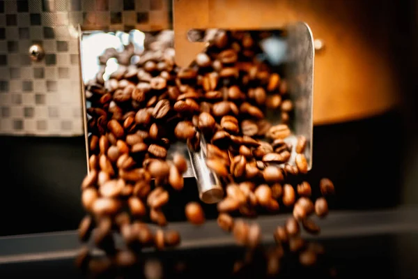 Maschinenspachtel Mit Braunen Arabica Kaffeebohnen Der Nähe Von Spezialgeräten Fabrikkonzept — Stockfoto