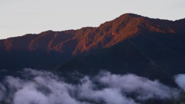 Tayvan 'ın merkezindeki Jianshihbao kutsal ağaçlarının doğuşu.