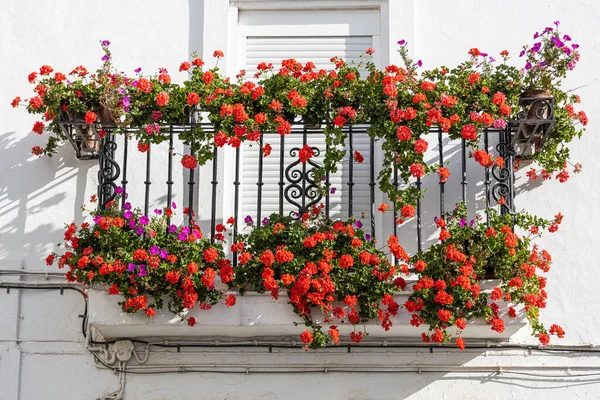 Front view of an Andalusian balcony