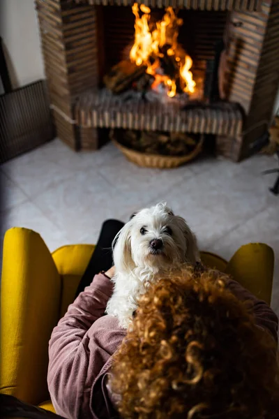 Senior Woman Wit Her Dog Front Fireplace — Stock Photo, Image
