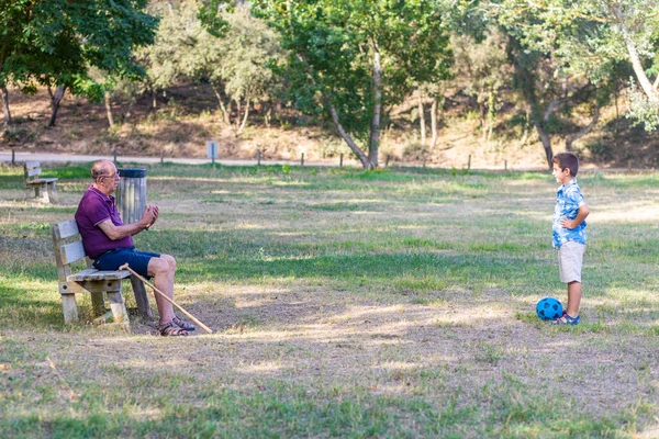 Abuelo Nieto Jugando Fútbol Parque Imagen De Stock