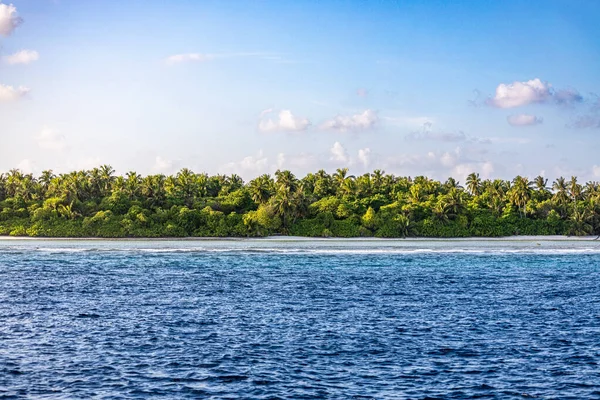 Vista Grupo Palmeras Una Isla Las Maldivas — Foto de Stock