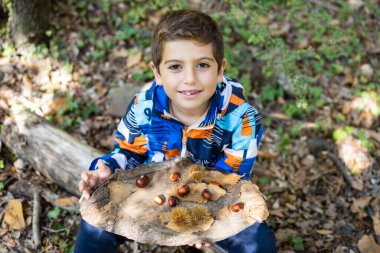 Sonbaharda ormanda kestane toplayan küçük bir çocuk.