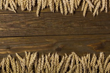 Kopya alanı olan buğday kulaklarını tasarım için masaya yerleştir