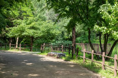 Walking path with wooden fence, tree along the way. Yongsan Family Park, Seoul, South Korea.