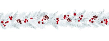 Çam dalları ve beyaz arka planda böğürtlen ile yatay sınır. Noel festivalinde dekoratif, başlık tasarımı, kapak, tebrik kartları veya davetiyeler için elverişli.
