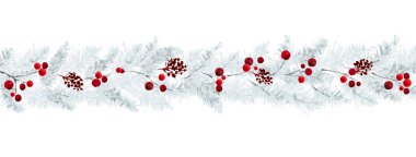 Çam dalları ve beyaz arka planda böğürtlen ile yatay sınır. Noel festivalinde dekoratif, başlık tasarımı, kapak, tebrik kartları veya davetiyeler için elverişli.