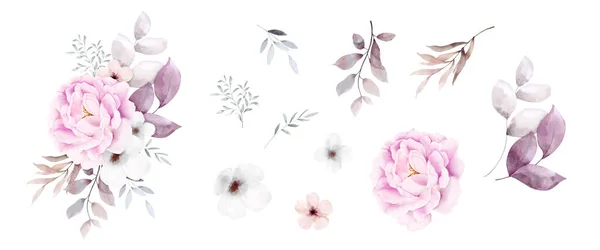 Set Pink Floral Bouquet Watercolor Elements Isolated White Background Botanical — Stock Vector