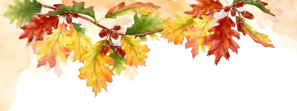 Aquarel Abstracte Achtergrond Herfst Collectie Met Seizoensgebonden Bladeren Aquarel Natuurlijke — Stockfoto